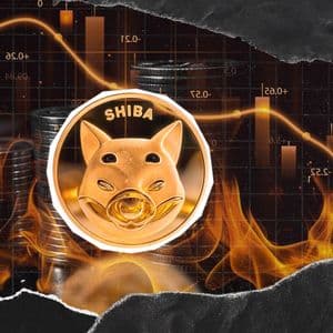 SHIB Burns Collapse 55% Amid SHIB Price Decline