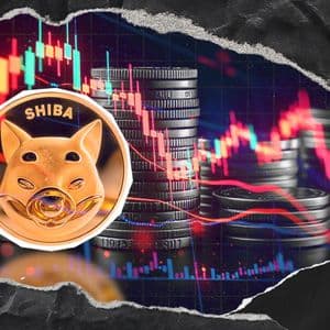 2,600,000,000 Shiba Inu (SHIB) in 24 Hours: Massive Exchange Outflow