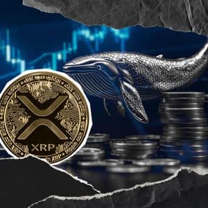 XRP Faces Brutal Whale Shake-Up: 40,000,000 Exits Millionaire Wallets