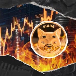 Millions of SHIB Scorched Amid Massive Shiba Inu Metric Plunge