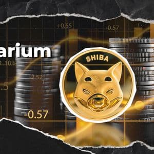 Critical Shibarium Chainlink Update Issued by Shiba Inu Team