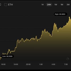 DOGE Price Prediction for September 13