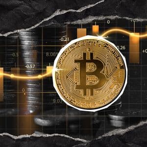 Bitcoin Breaks 15 Year Record as $625 Billion Flows in Since 2024: Details