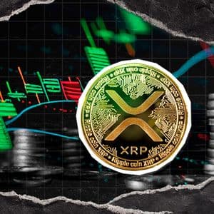 XRP Witnesses Explosive 221% Surge in Fund Inflows Ahead of October XRP ETF Verdict