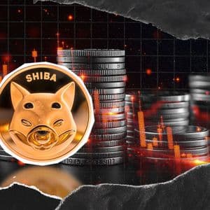 4,057,686 SHIB Burned in Days: What Remains?