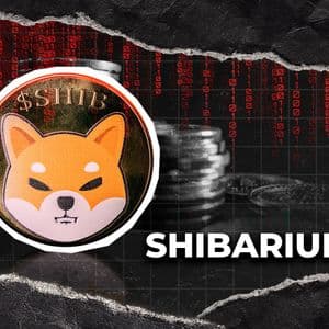 Shibarium Bridge Remains Paused After Hack, Asset Recovery Still Unclear