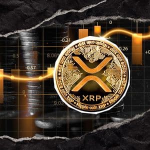 Is This XRP’s Golden Opportunity? Bollinger Bands Deliver Brutal Chart Truth