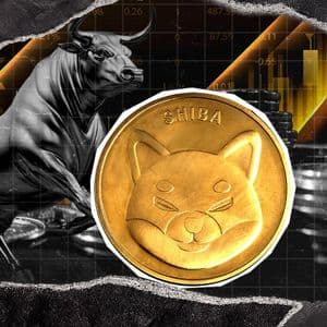 54,000,000,000 Shiba Inu (SHIB) in 24 Hours: Massive Bullish Signal on Exchanges