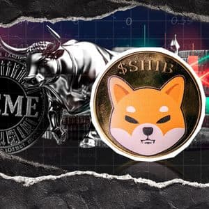 Shiba Inu (SHIB) Price Worst Scenario Revealed