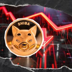Shiba Inu (SHIB) Recorded -485,685,800,000 Crypto Exchange Netflow: Details
