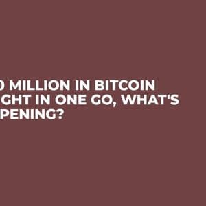 $840 Million in Bitcoin Bought in One Go, What's Happening?