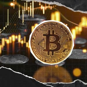 Crypto Rally in Q4? Bitcoin's Promising September Results