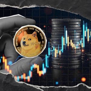 What’s Next for DOGE? Director Issues Plans for Enhanced Dogecoin Utility