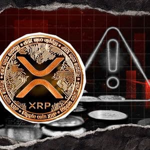 Ripple Partner Exchange Drops Crucial Scam Alert for XRP, Crypto Community