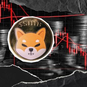 -243,735,301,882  Shiba Inu (SHIB) in 24 Hours is Critically Important: Details