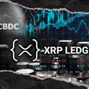 Former Ripple Exec Breaks Silence on CBDC Experiment Impact on XRP Ledger