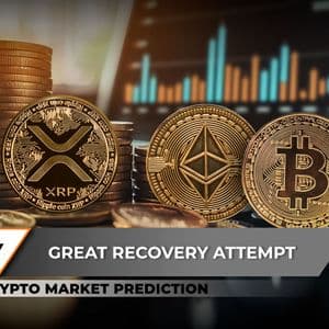 Crypto Market Prediction: XRP Don't Celebrate Too Early, Did Ethereum (ETH) Secure $4,200? This Bitcoin's (BTC) $113,000 Chance