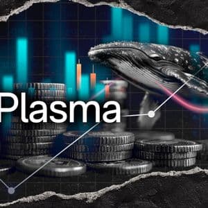 XPL, Not XRP: Why Whales Shoveling Ripple's Rival?