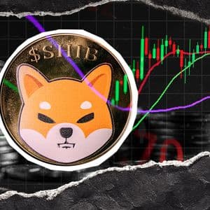 300,000,000,000 Shiba Inu (SHIB) Drop in 2 Days: Reason For Pump?