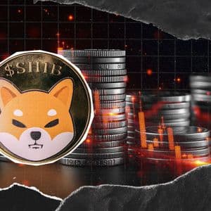 Shiba Inu (SHIB): Is It Ending?