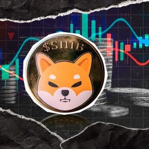 Shiba Inu (SHIB) Gained 100,000,000,000: But In Wrong Place