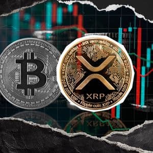 XRP to $3.7 All-Time High: Bitcoin Price Chart Reveals Painful, But Winning Scenario