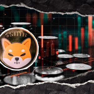 Shiba Inu Liquidity Dies Off? 142,000,000,000 SHIB From Exchanges