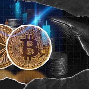 BTC vs. ETH: Why Ethereum’s Price Lags Behind Bitcoin