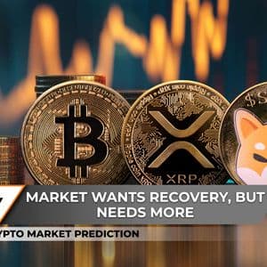 Crypto Market Prediction: Is It Biggest XRP Comeback in History? Bitcoin (BTC) Breaks $115,000 Like It's Nothing, Shiba Inu (SHIB): Not Adding Zero