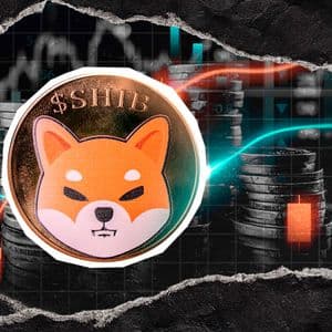Can Shiba Inu (SHIB) Delete Zero From Price?