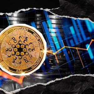 Cardano Price Finally Oversold, Here's What to Expect Now