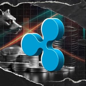 Former Ripple Exec Sends Crucial Message to Crypto Bears: 'Find a New Home'