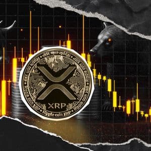 Max Pain Price for XRP Revealed: 30% for Bears, and Just 10% for Bulls