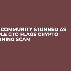 XRP Community Stunned as Ripple CTO Flags Crypto Draining Scam