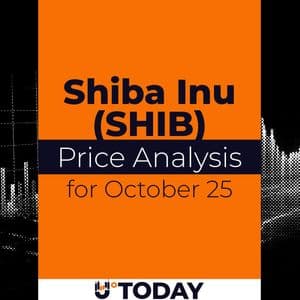 SHIB Price Analysis for October 25