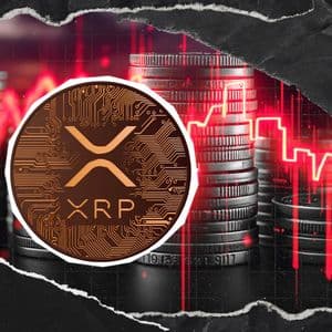 XRP Hits Abnormal 293,152% Liquidation Imbalance in Hourly Bull Bloodbath
