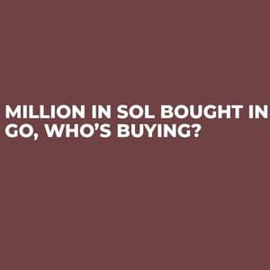 $218 Million in SOL Bought in One Go, Who’s Buying?
