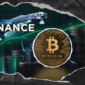 Binance Bitcoin Whales Activity Surges, Hints at More Upside