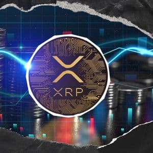 Next 24 Hours Crucial for XRP Ledger: Reason