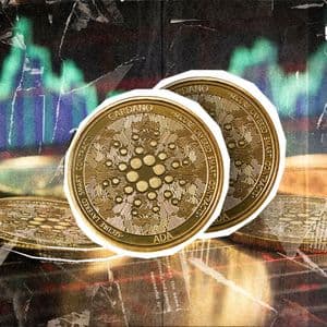 Cardano Volume Rockets 63% in Last Push for Rebound