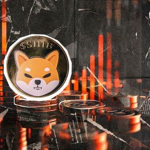 Shiba Inu Team Breaks Silence on Crypto Crash: 'Outcome No One Predicted'