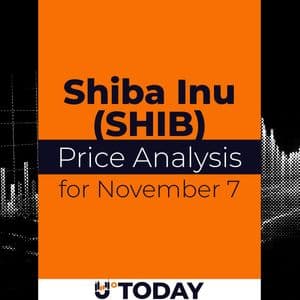 SHIB Price Analysis  for November 7