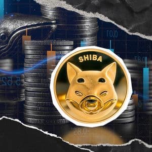 7,380,000,000,000 SHIB Puts OI in Flames as Price Removes Zero
