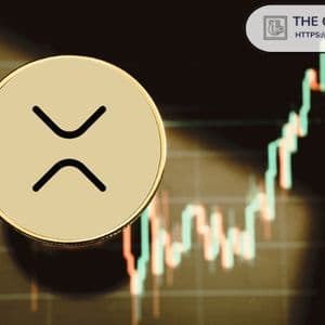 Analyst Explains Key Risk for Long-Term XRP Holders as Uptrend Strengthens