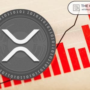 Crypto Coach Says: Go Touch Grass, Come Back in 5 Years — XRP Will Do the Rest