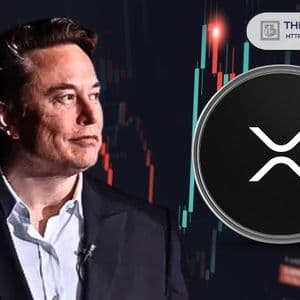 Here’s When Last Elon Musk Interacted With XRP
