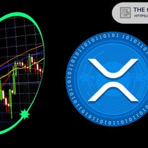 Pundit Claims XRP Had a 1,200x Multiplier During the Friday Crash