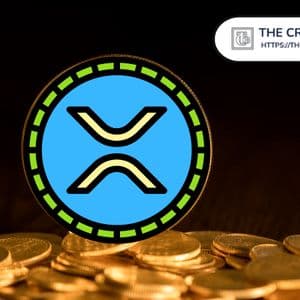 Here’s How Much You Will Make if XRP Hits $10 and You Are on the Top 5% XRP Rich List