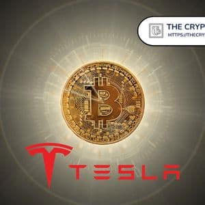 Tesla Reports $80 Million Bitcoin Gains in Q3 2025
