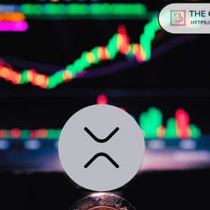 Molt Media Founder Says No Way I Am Selling XRP Under $100